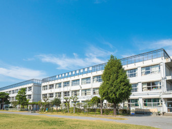 中学校ダミー